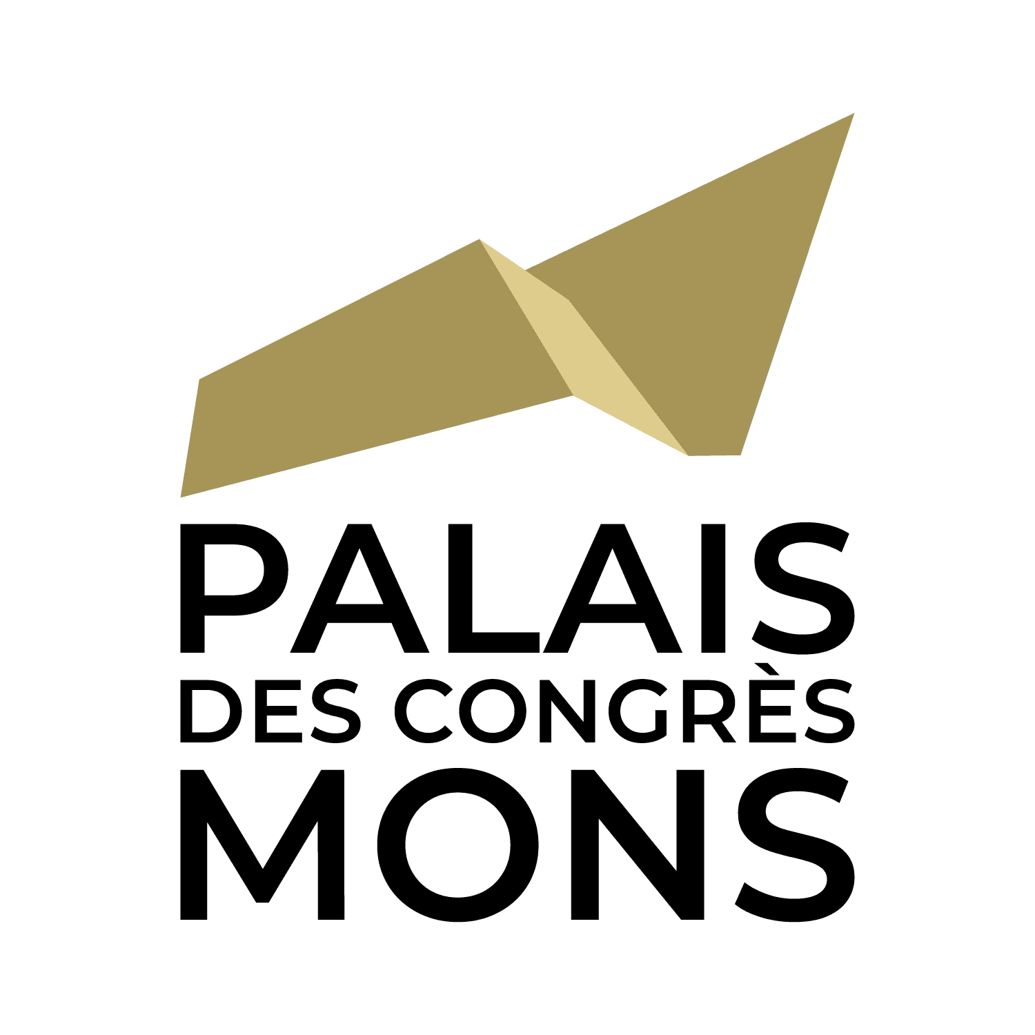 Logo du Palais des Congrès de Mons